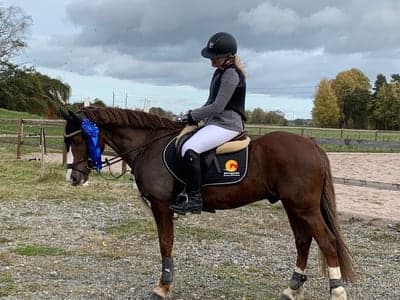 Inlägg 234 av Hoppning med titeln 2 i lätt C