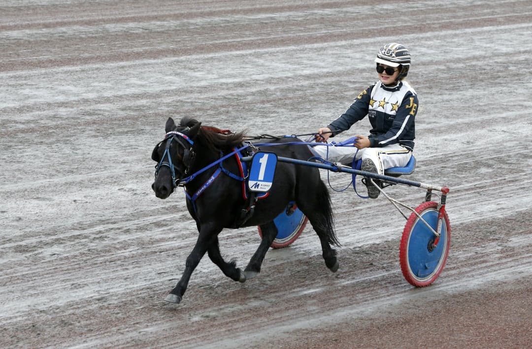 Image 1 of Nordanåkers Mondeo