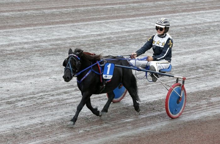 Media 1 of Nordanåkers Mondeo