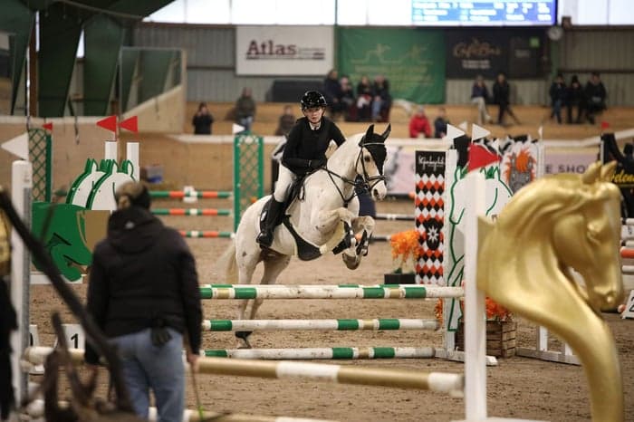 Media 5 av Dryfe Aristocrat