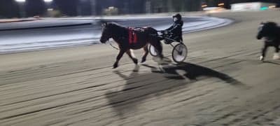 Inlägg 124 av Trav med titeln Träning 