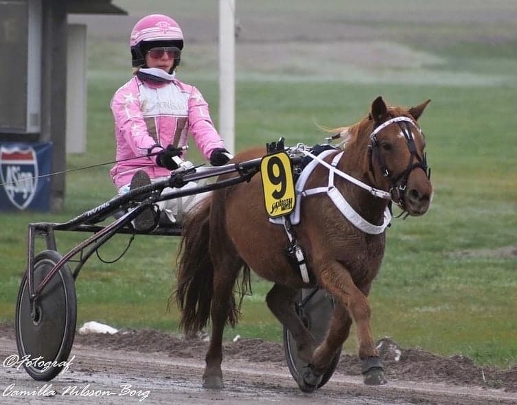 Bild 2 av Tusens Gold-Etta M