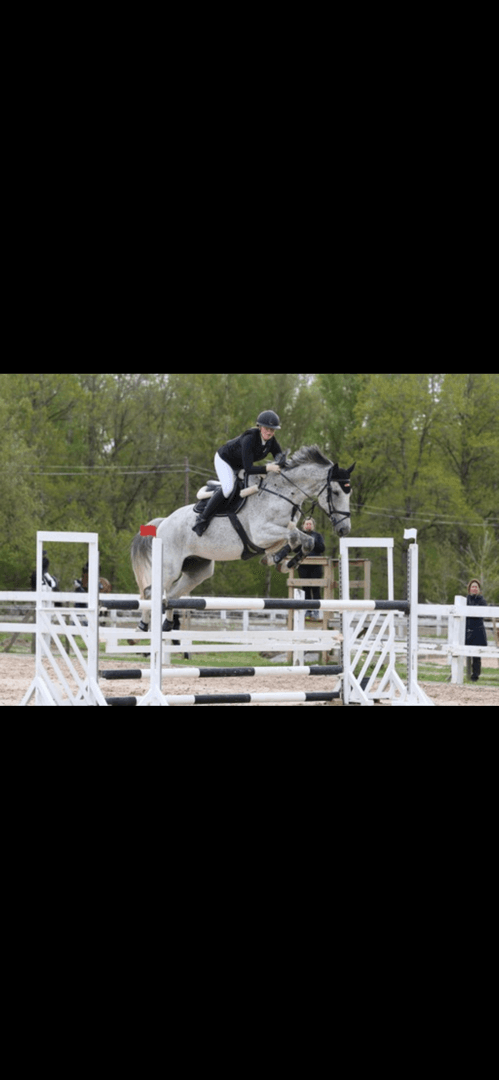 Image 1 of Lucky Luck