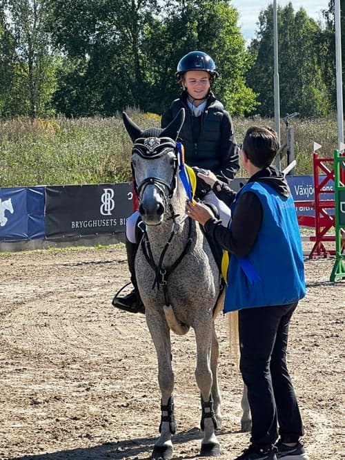 Image of Häftig c-ponny söker ny kompis