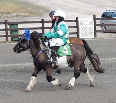 Inlägg 14 av Monté med titeln Monte