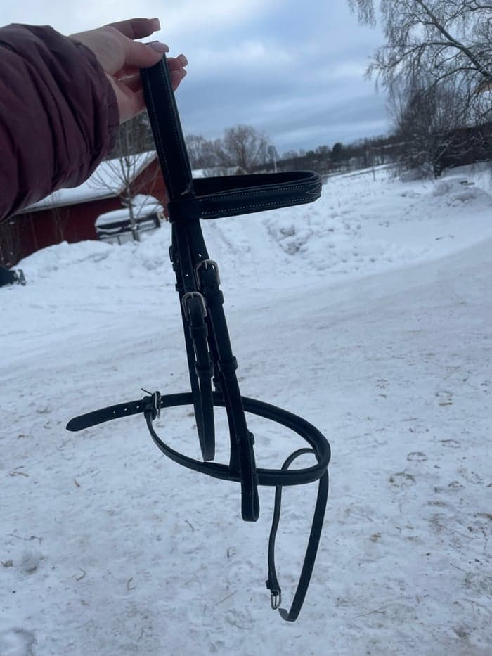 Media 3 av Svart träns