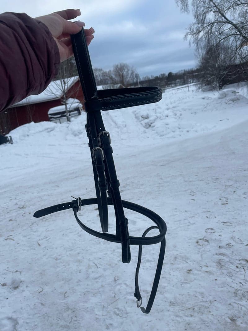 Bild 3 av Svart träns