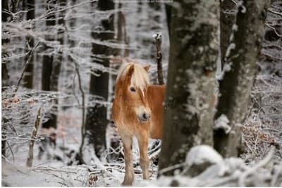 Inlägg 138 av Allround med titeln lilja✨