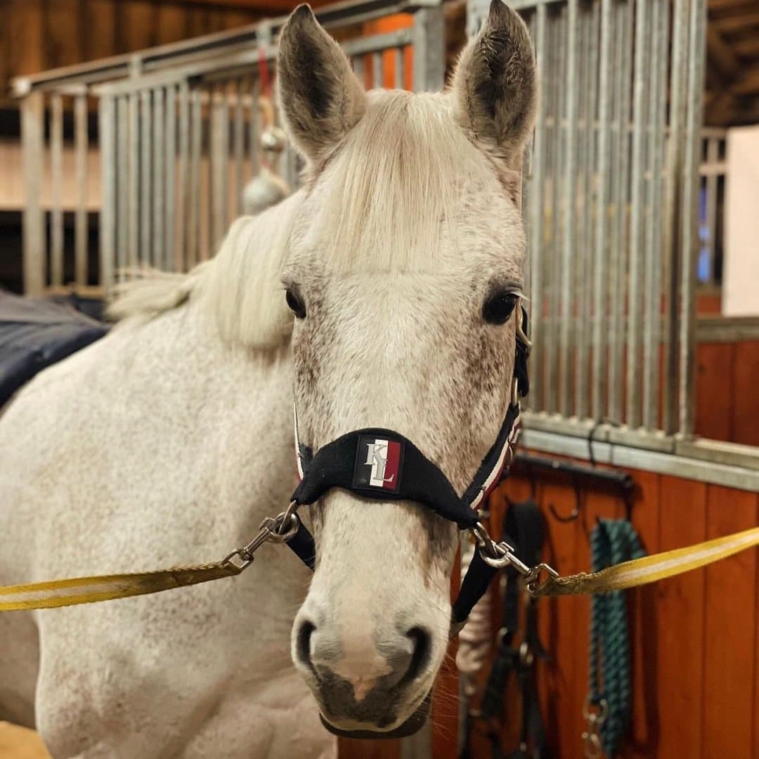 Image 1 of Capitalistic Babe