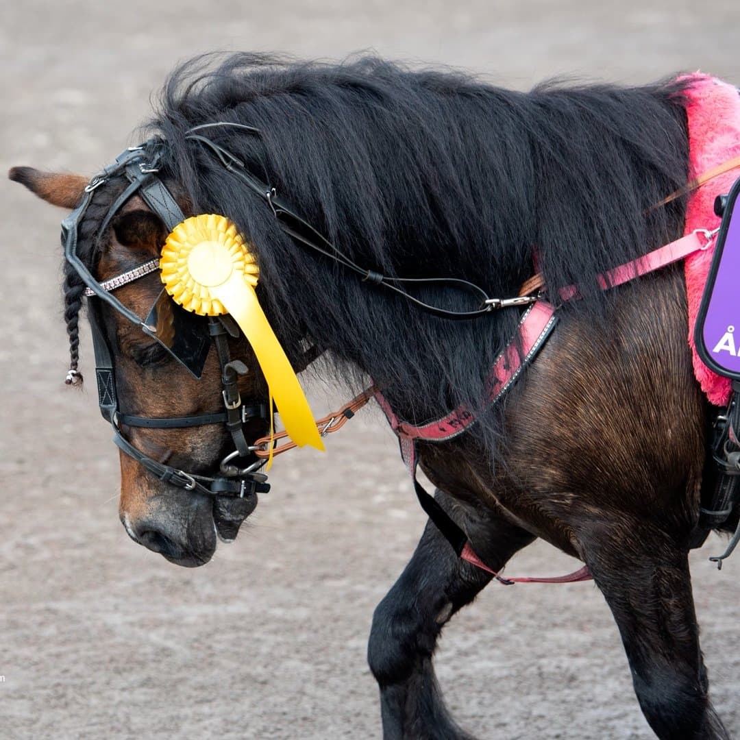 Bild 1 av H.G. Tough Love