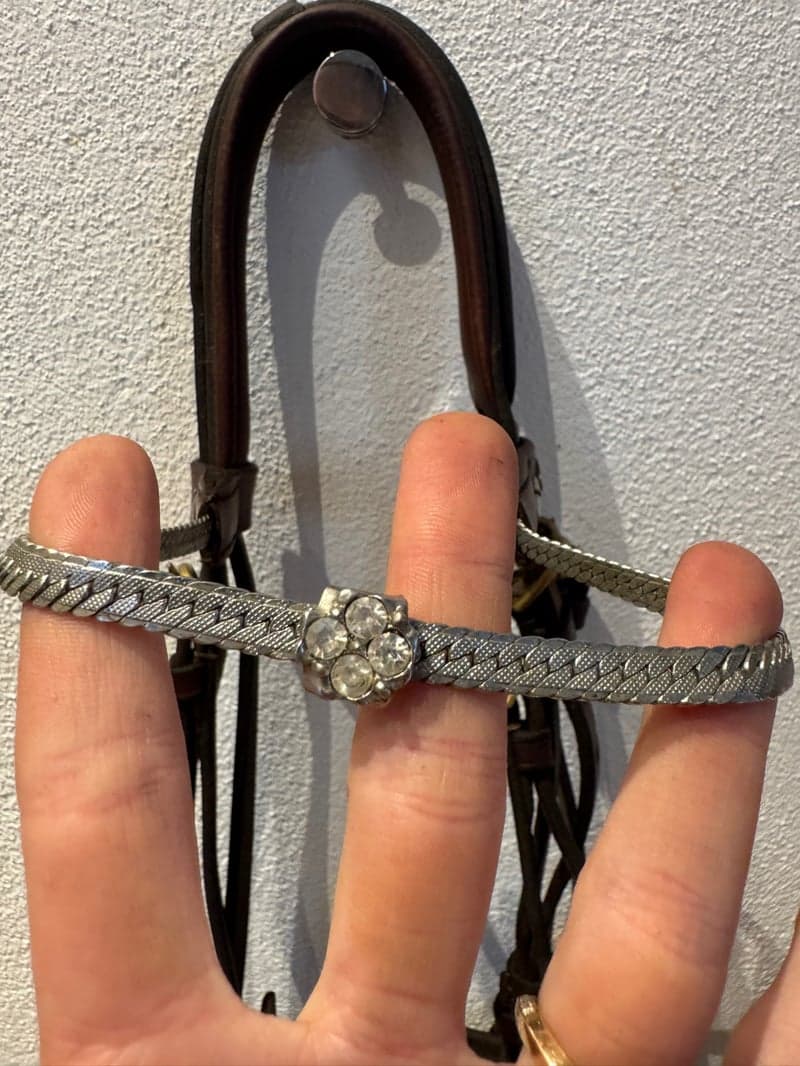 Bild 4 av Ponnyträns från equipe