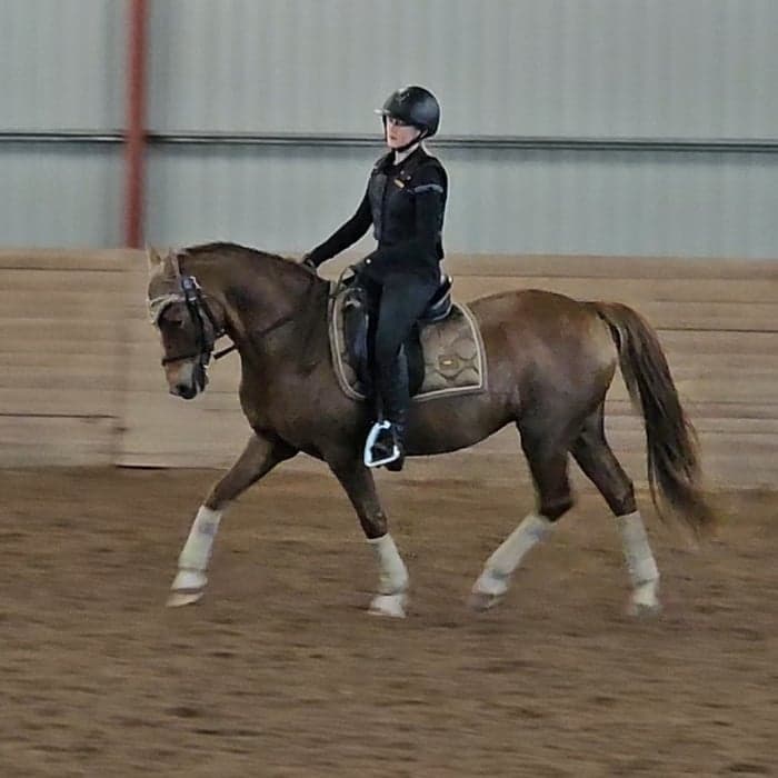 Media 1 av Alslyckas B Witch Saga