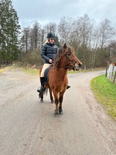 Inlägg 67 av Allround med titeln Idag fick jag denna stjärnan jag är så glad att jag har fått dig🩵