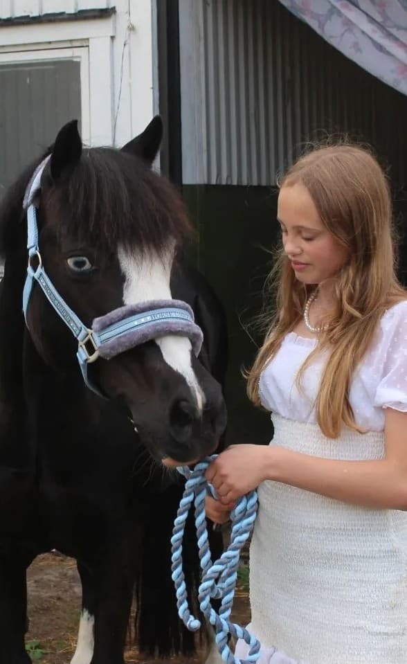 Bild 1 av placeholder text