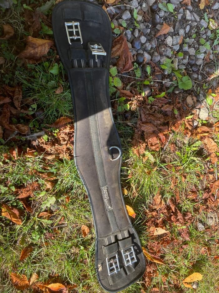 Media 1 av Svart sadelgjord