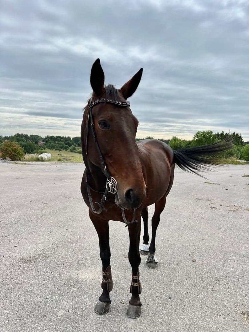 Bild 1 av Peridot Bride