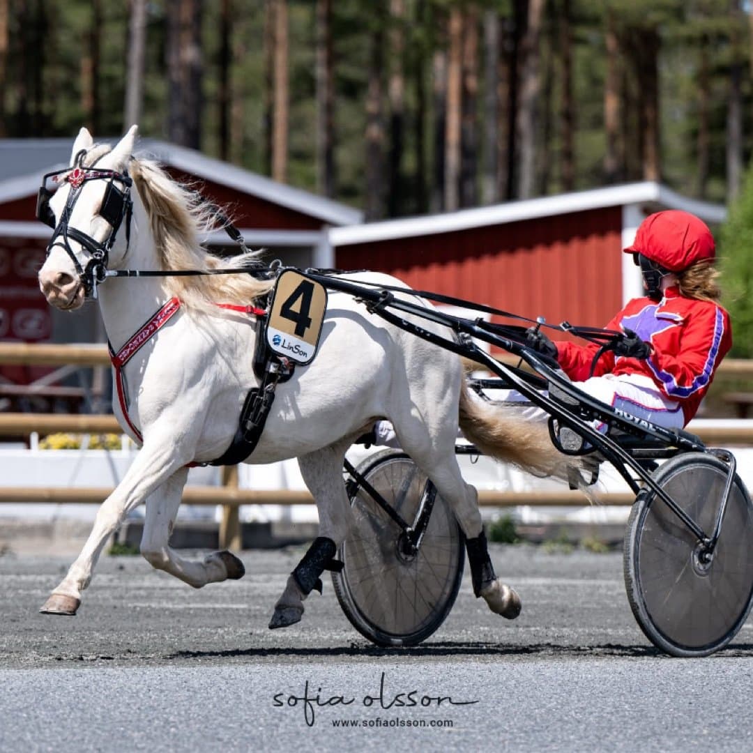 Bild 1 av Kumlaby Speek