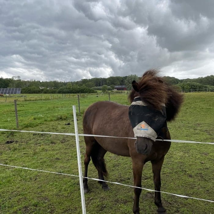 Media 1 av Idun från presse