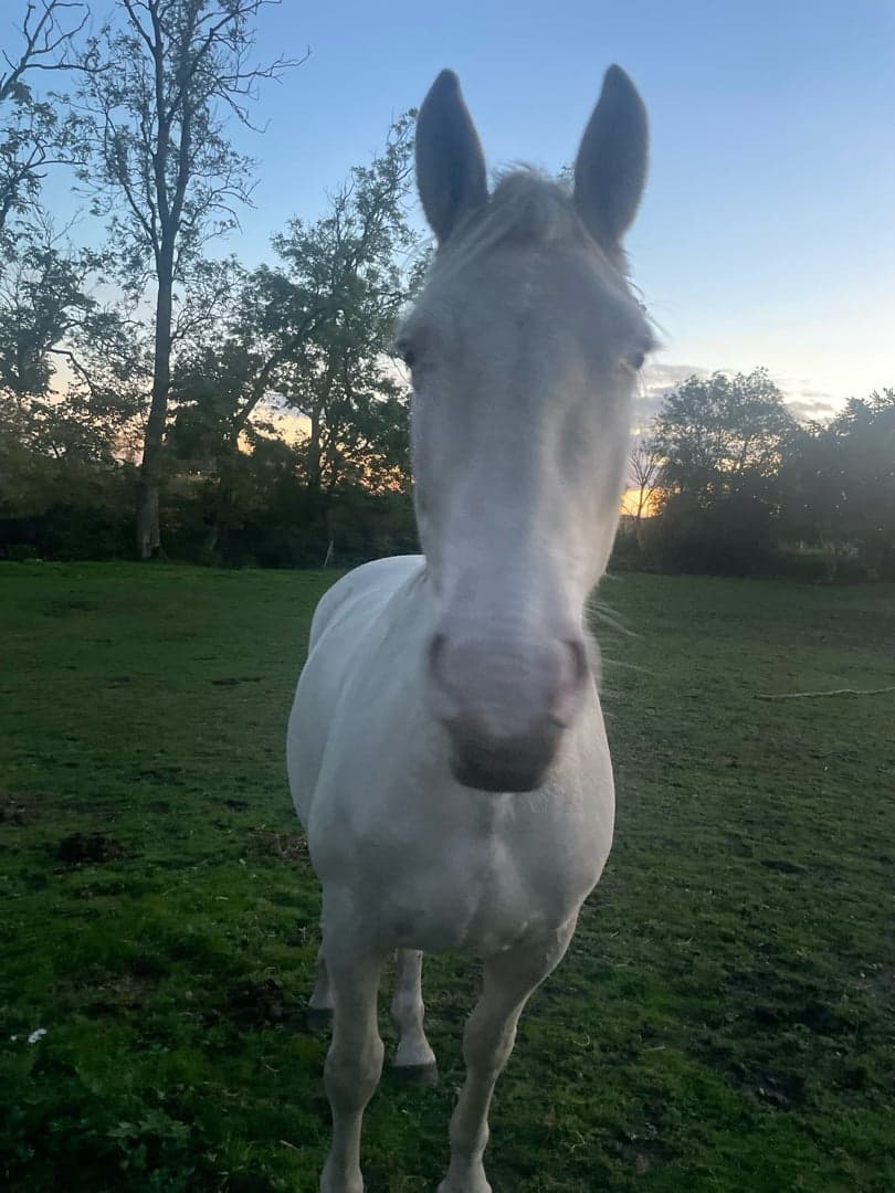 Bild 1 av Karma Verwia