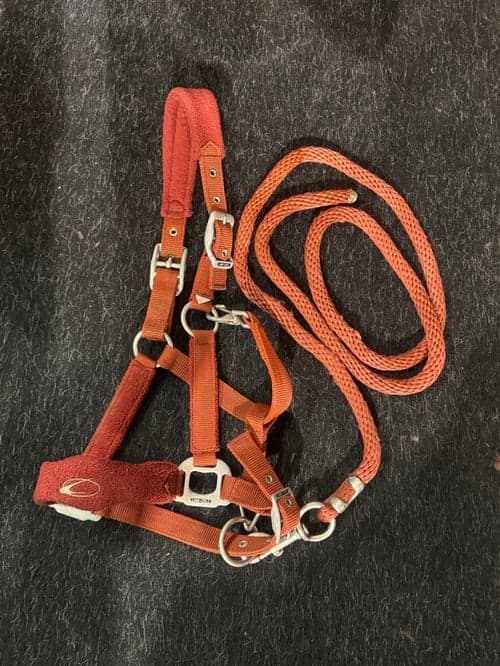 Bild av Röd grimma från Lamicell 