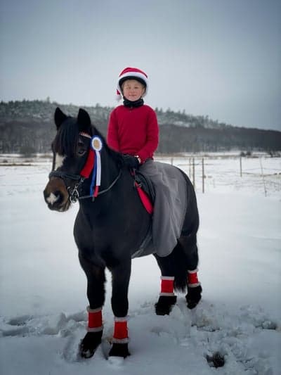 Inlägg 142 av Hoppning