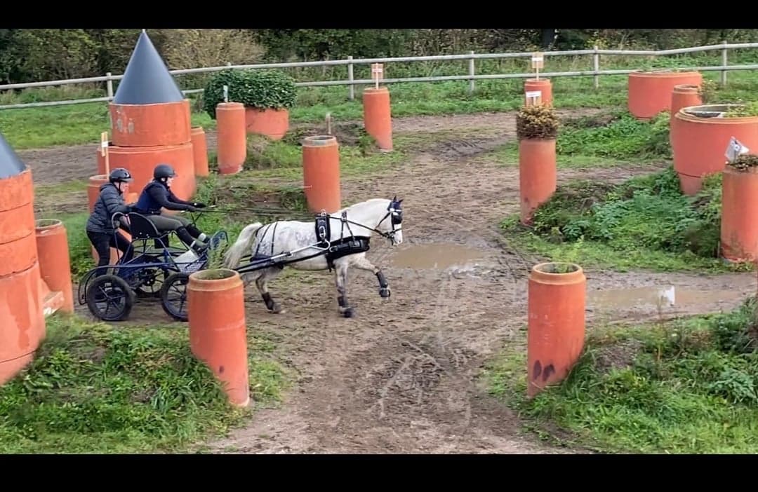 Bild 1 av placeholder text