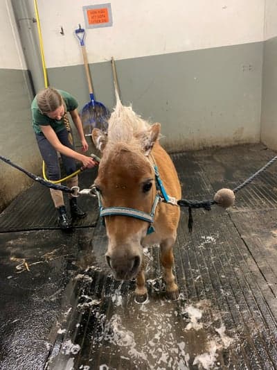Inlägg 19 av Utställning med titeln Spa day