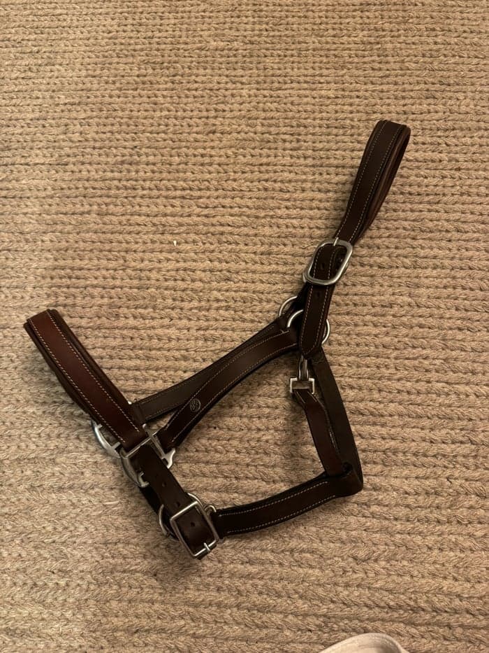 Media 1 av Brun lädergrimma