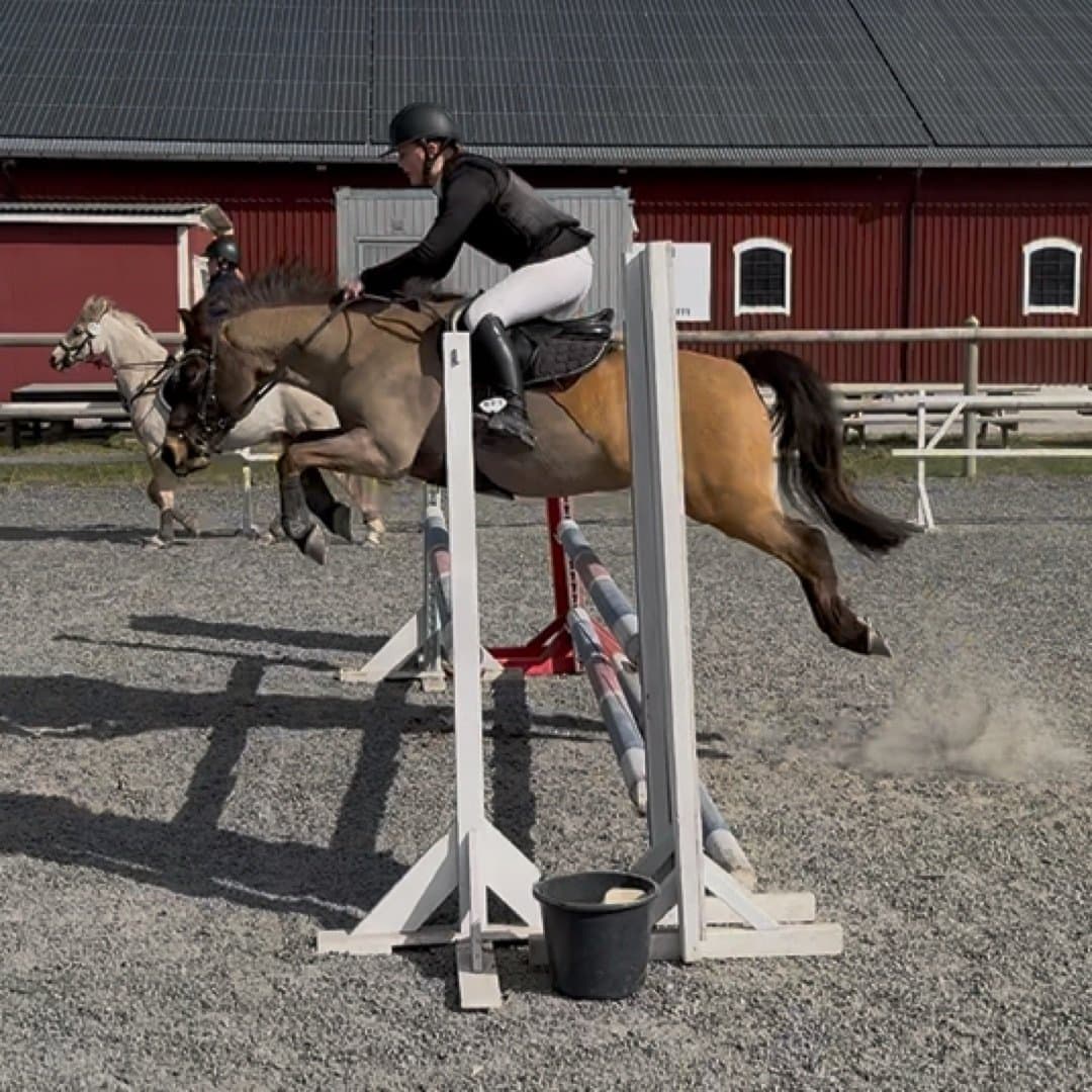 Bild 1 av Desert Flame (Cloud)