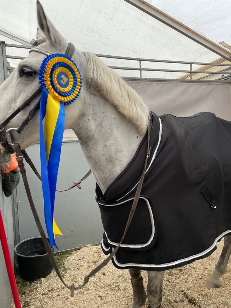 Image 1 of Munsboro Moonstone