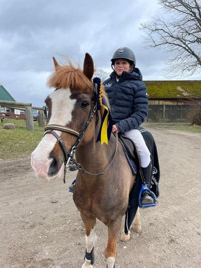 Inlägg 232 av Hoppning med titeln Adam och Jacko vinner sin första tävling! 