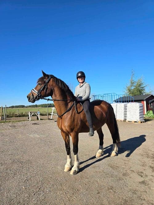 Bild av Älskade Jacken - söker kärleksfullt och tryggt hem med kunskap och tid