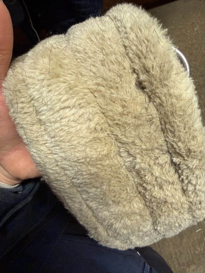 Media 3 av Svart sadelgjord 135