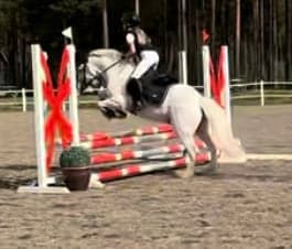 Inlägg 122 av Allround