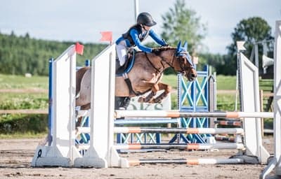 Inlägg 101 av Allround