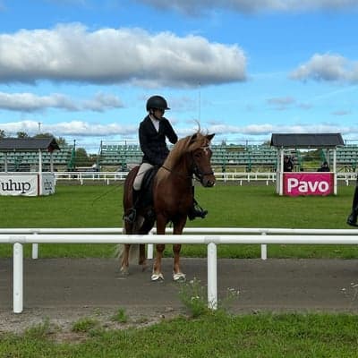 Rúbín från Asplunda