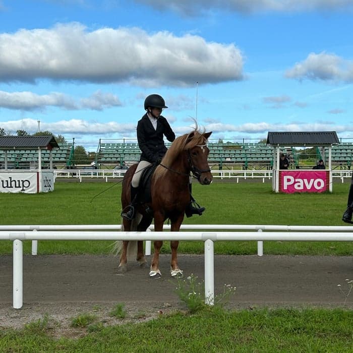 Media 1 av Rúbín från Asplunda