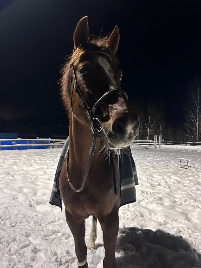 Bild 1 av Catania KS (71) (SWB)