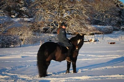Inlägg 50 av Allround