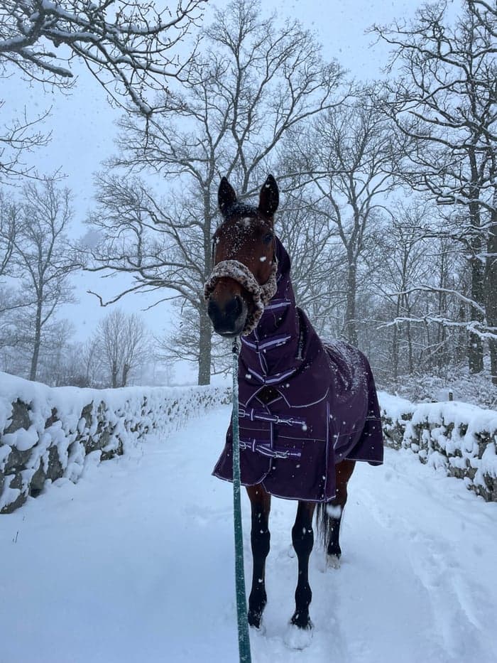 Media 1 av Portemonnaie (Penny)