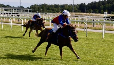 Inlägg 24 av Korsningsponny med titeln Ponnygalopp 