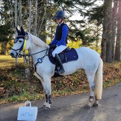 Inlägg 334 av Hoppning med titeln Sunne ryttarförening❤️