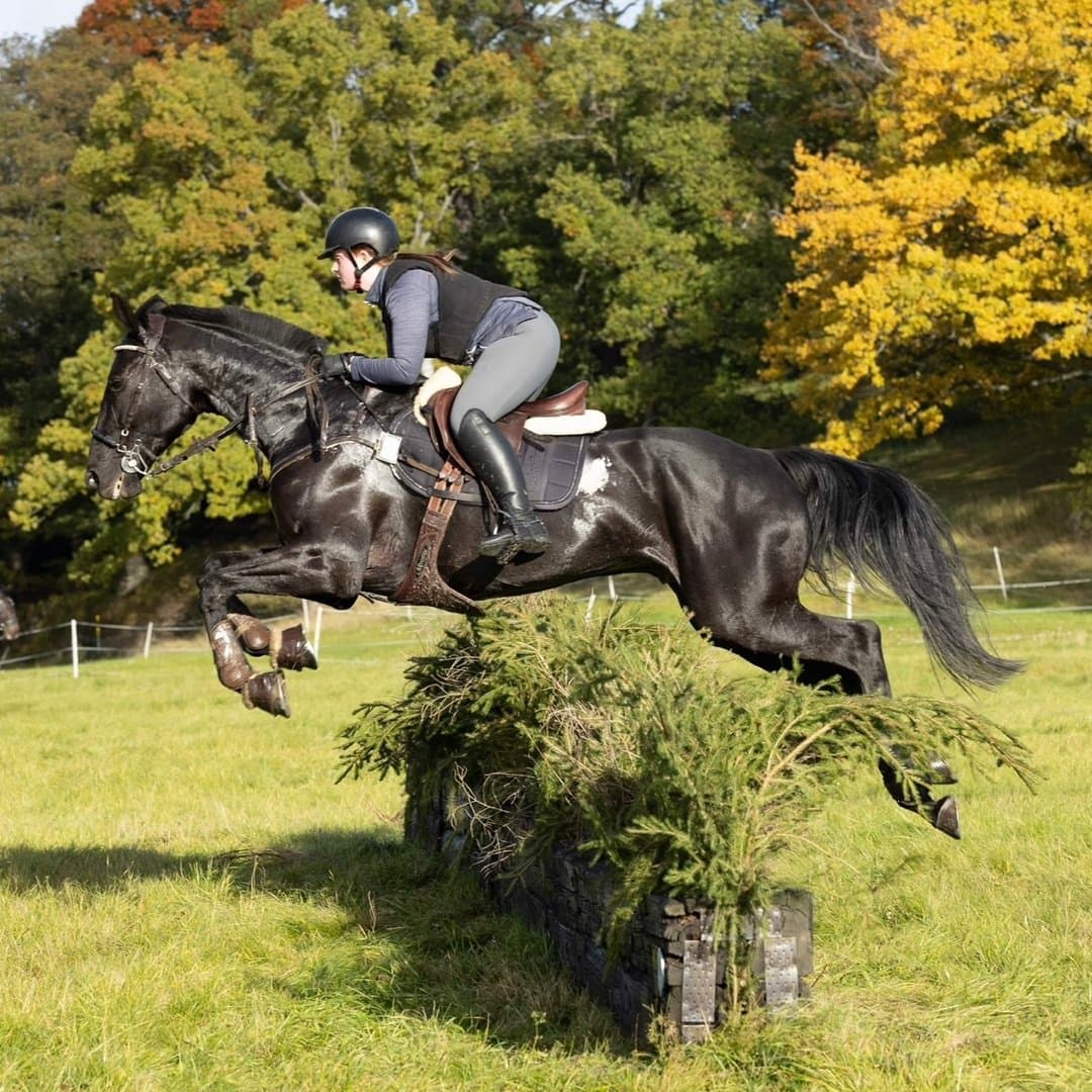 Bild 1 av G.K.Just Watch Me