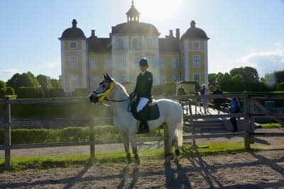 Inlägg 284 av Hoppning med titeln Lag SM