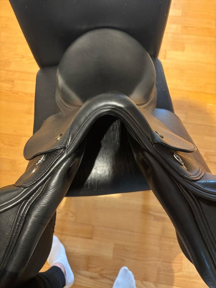 Media 5 av Ordo Equester Romulus 17" 