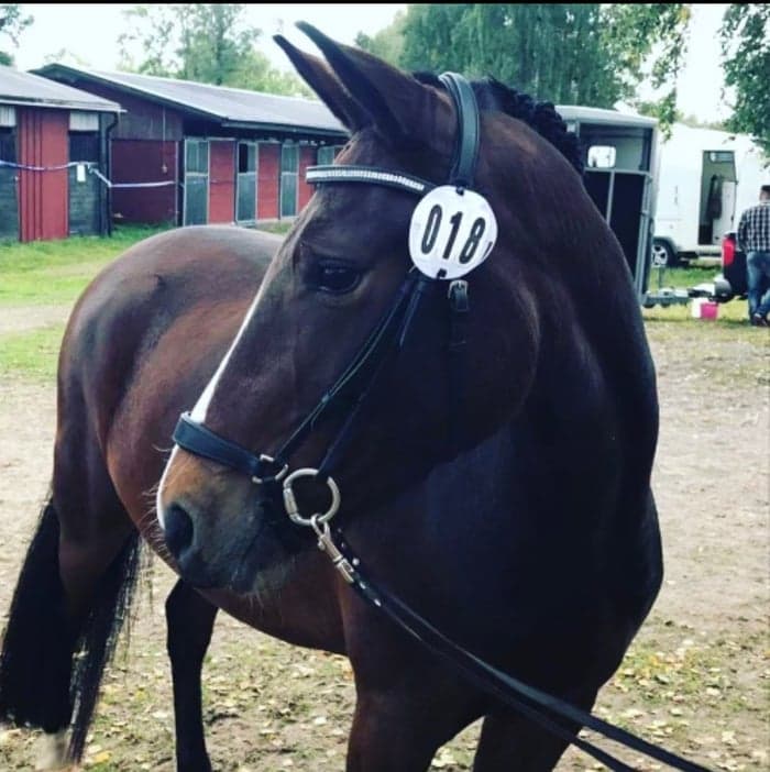 Media 1 av Willda