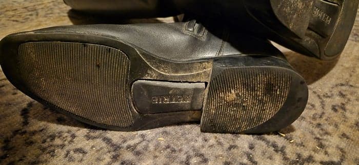 Media 6 av Dressyrstövel Petrie 