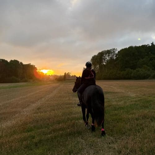 Profilbild av Nelly Forssblad