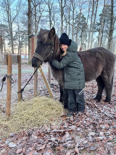 Inlägg 139 av Allround med titeln Saknar jullovet ❄️ 