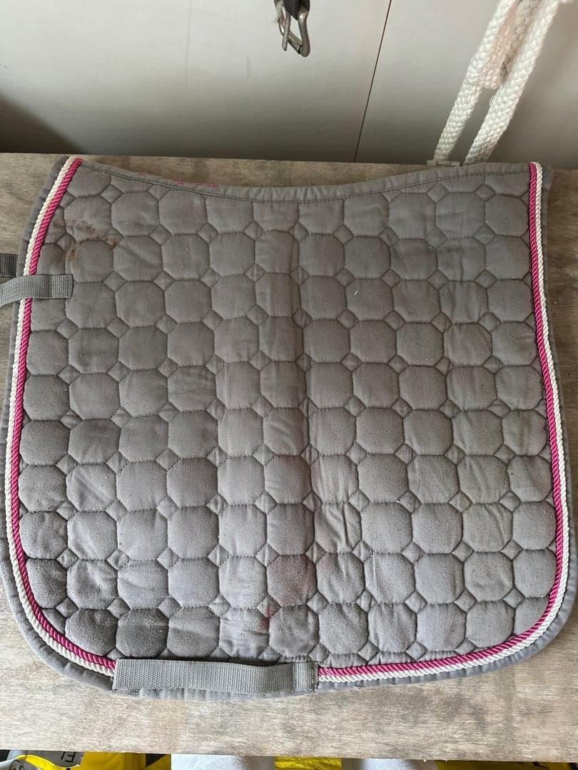 Bild 1 av Grå schabrak